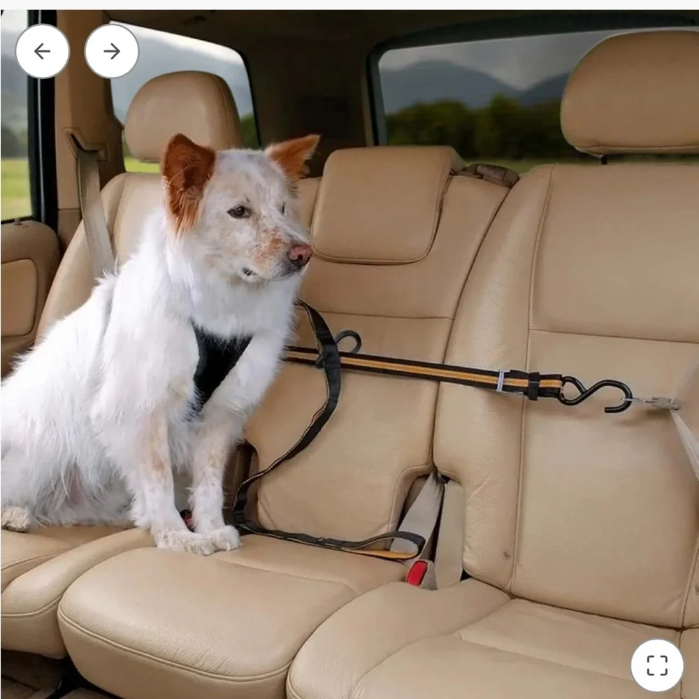 Kurgo Auto Zip Line with Leash for Dogs